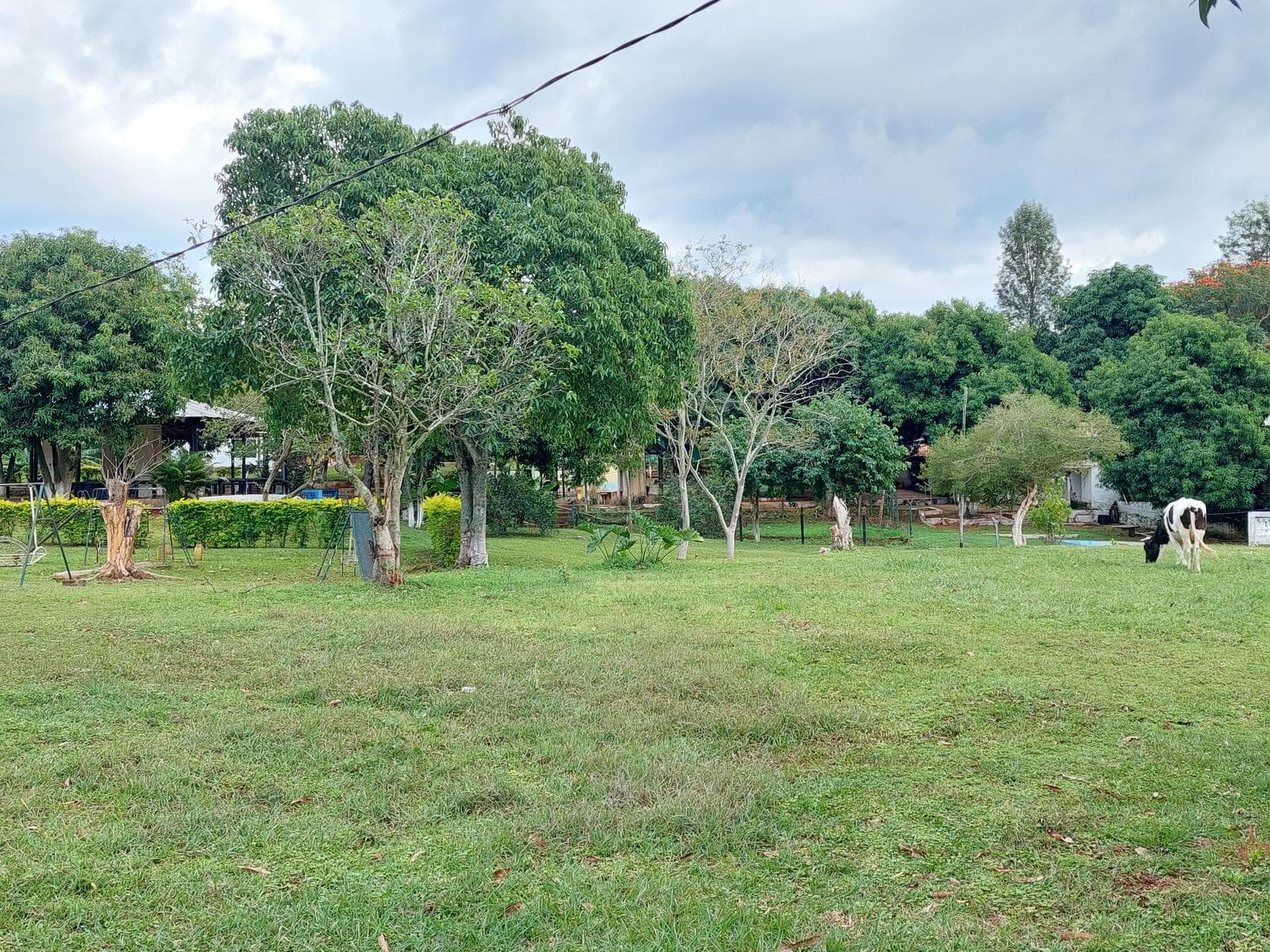 Quinta en venta 1,65 Has Zona Guazuvirá Itaguá, foto 3