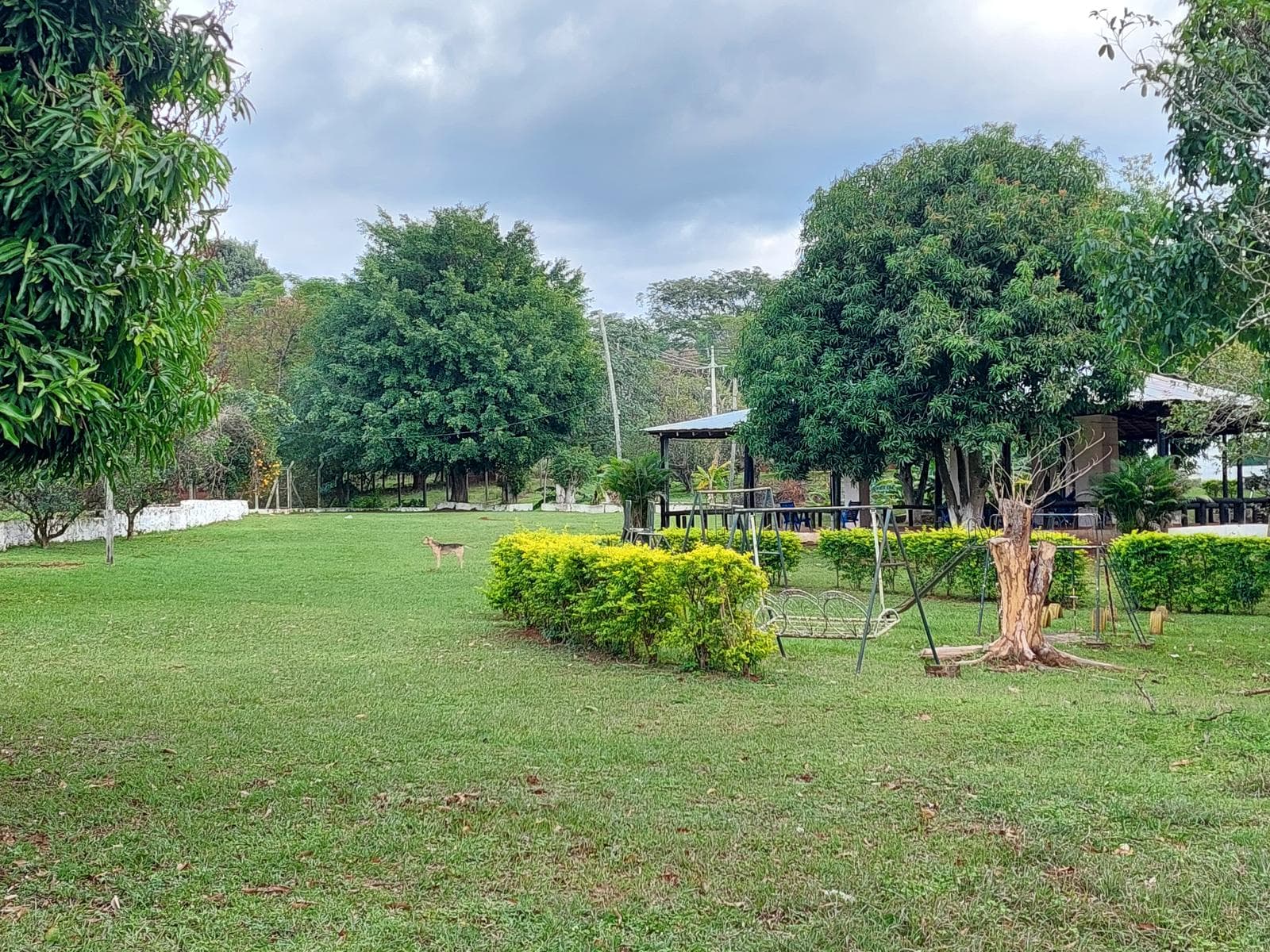 Quinta en venta 1,65 Has Zona Guazuvirá Itaguá, foto 4