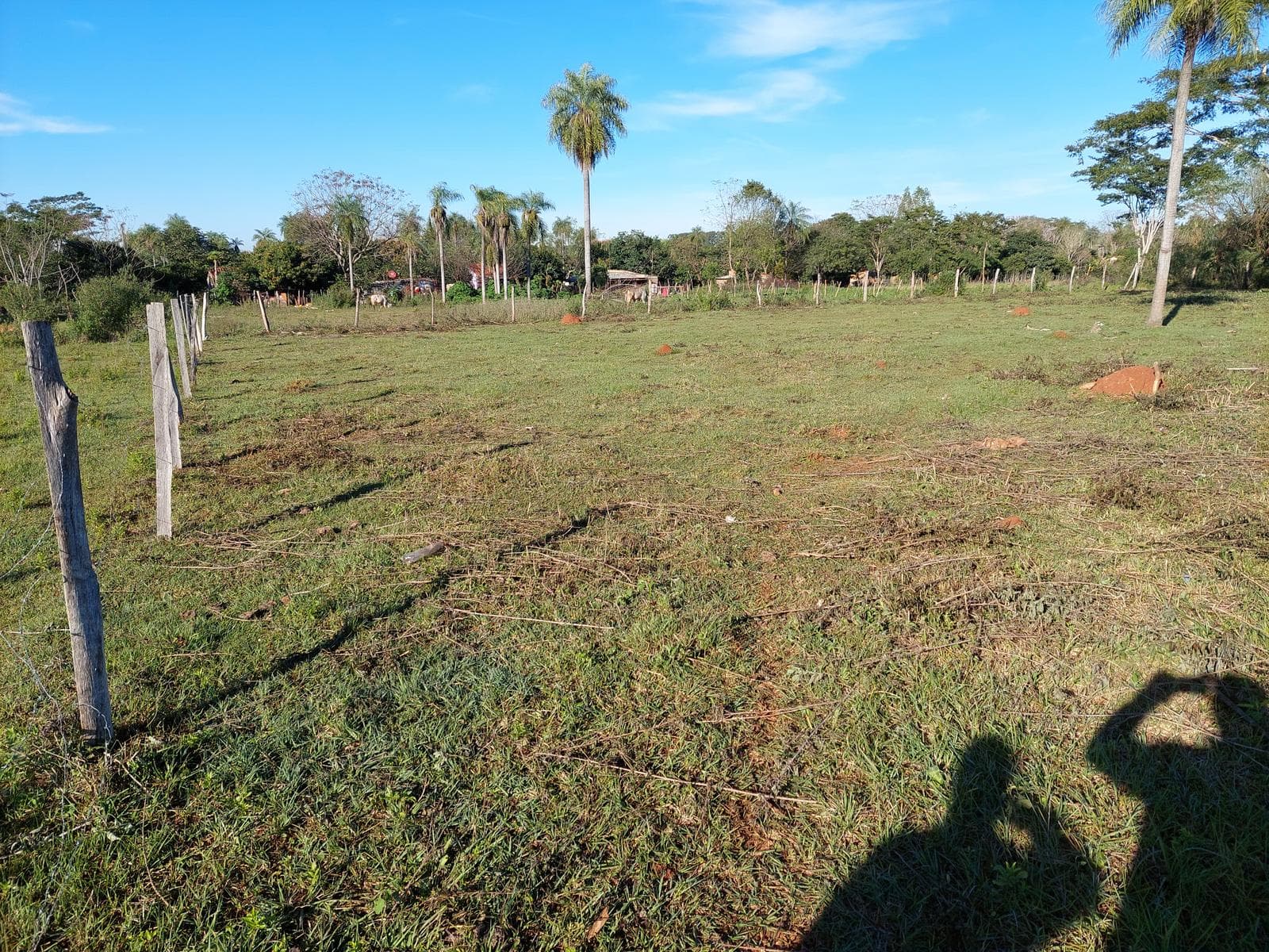 Terreno en venta 2.380 m2 Zona Hospital Nacional Itauguá, foto 2