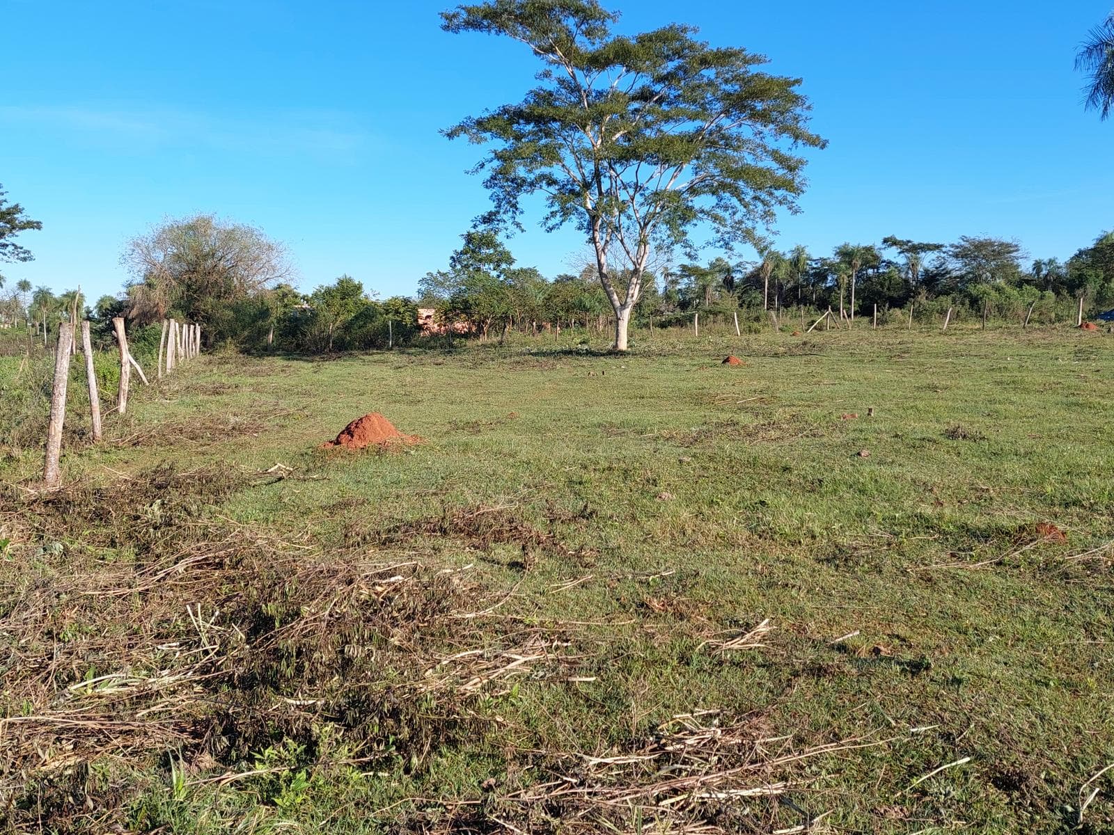 Terreno en venta 2.380 m2 Zona Hospital Nacional Itauguá, foto 4