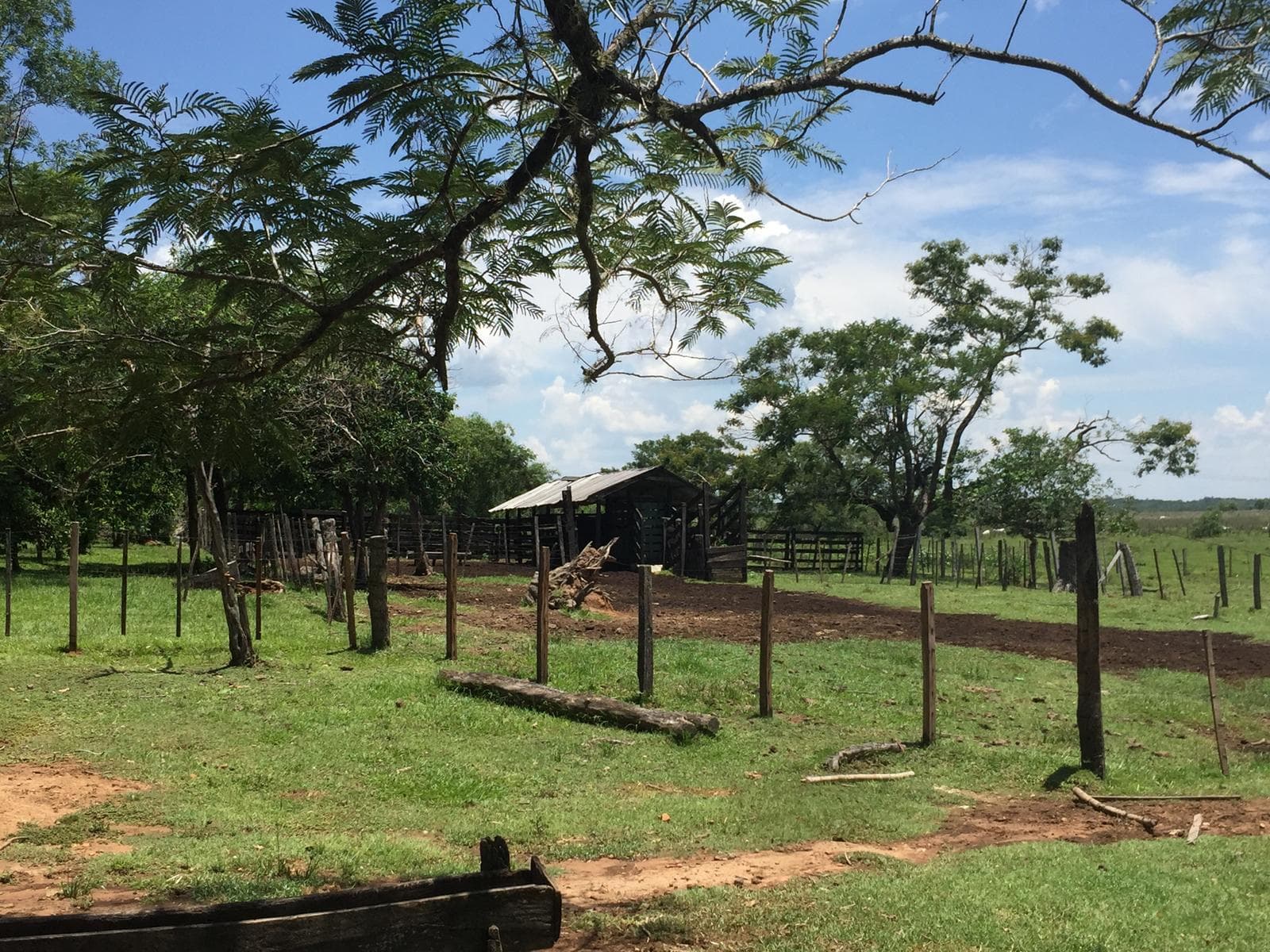 Campo en venta 54,2 ha en Tobatí Cordillera