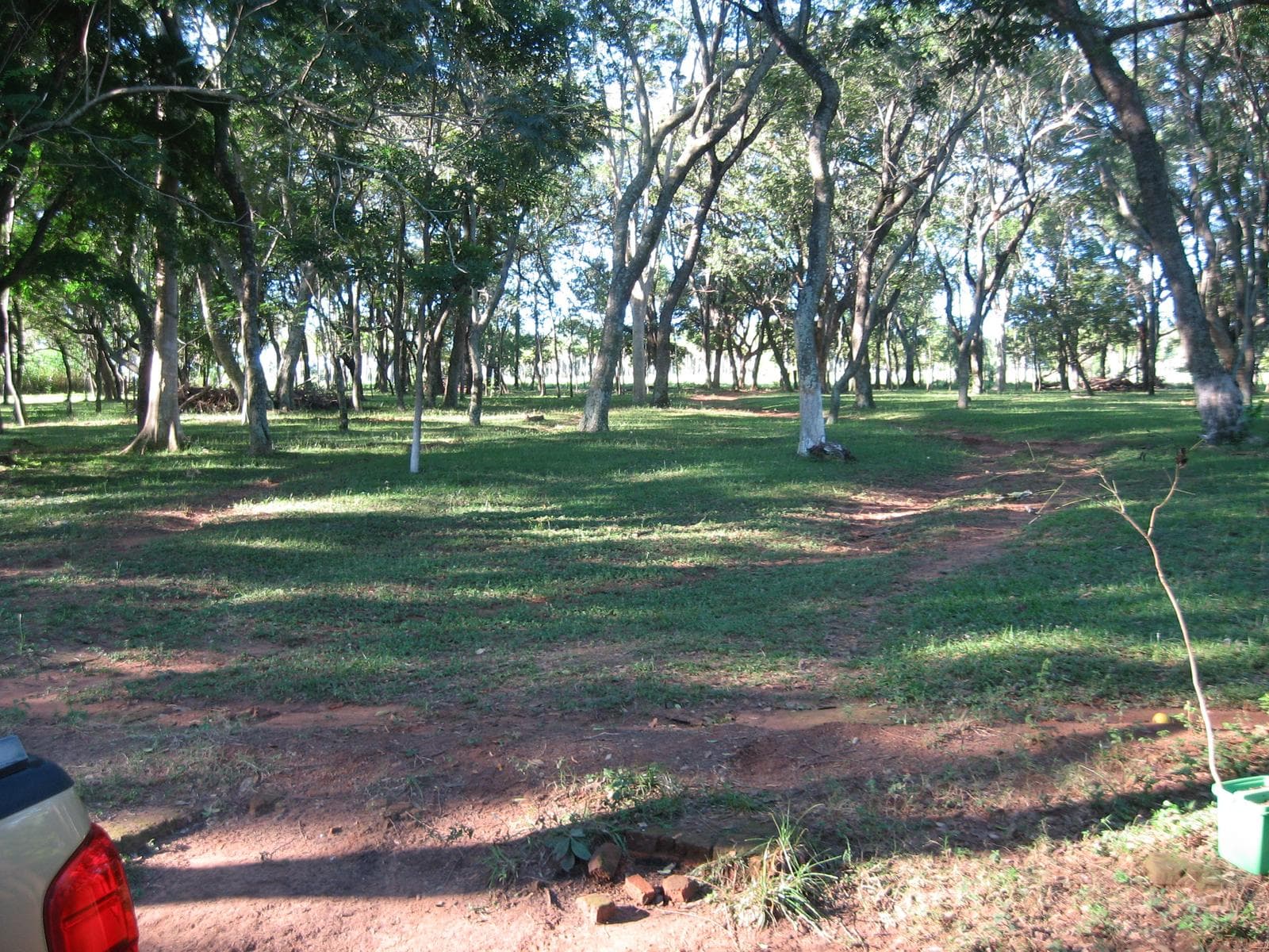 Campo en venta 54,2 ha en Tobatí Cordillera — foto 2