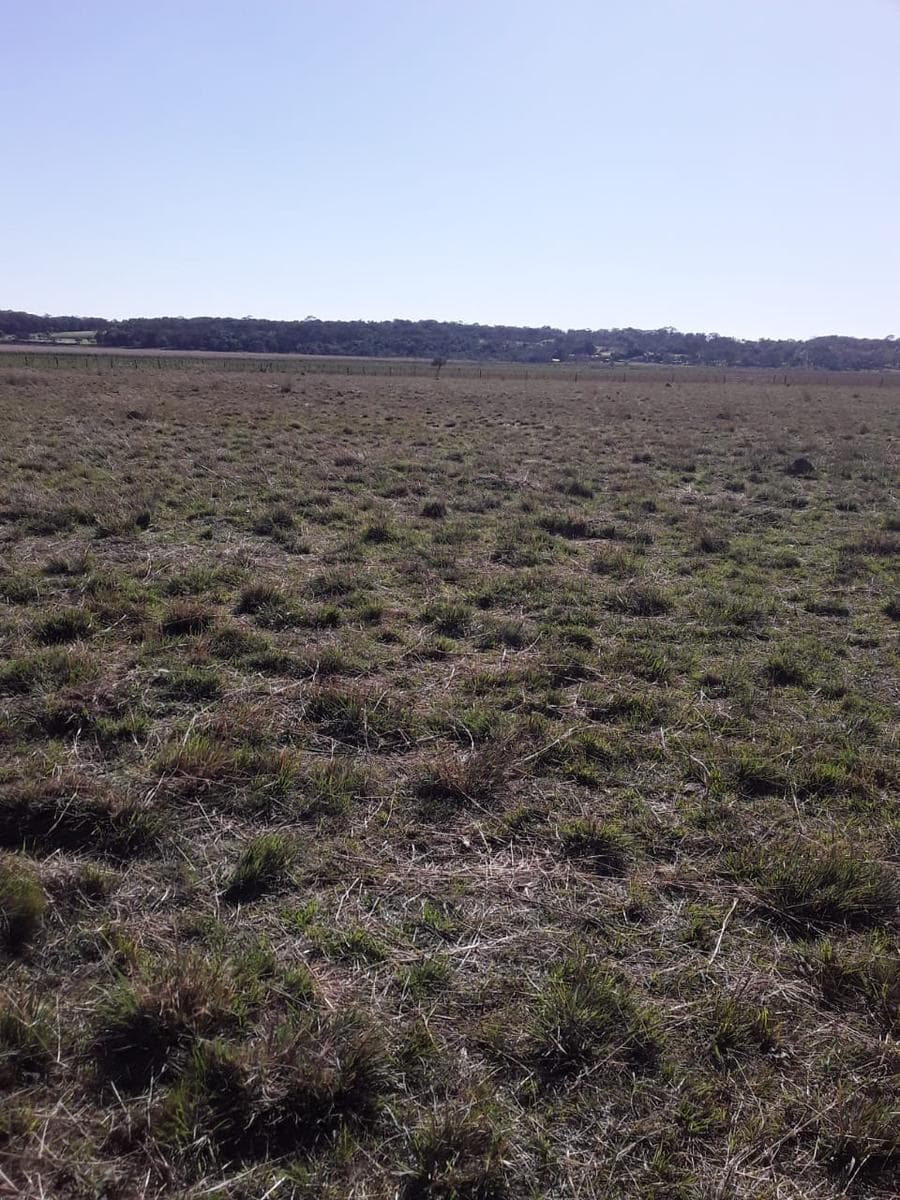Campo en venta 54,2 ha en Tobatí Cordillera — foto 4