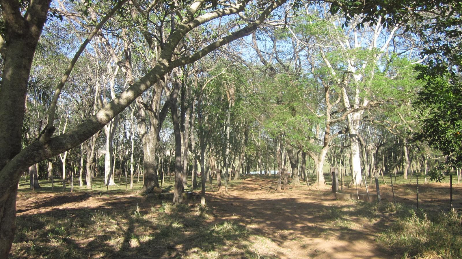Campo en venta 54,2 ha en Tobatí Cordillera — foto 5