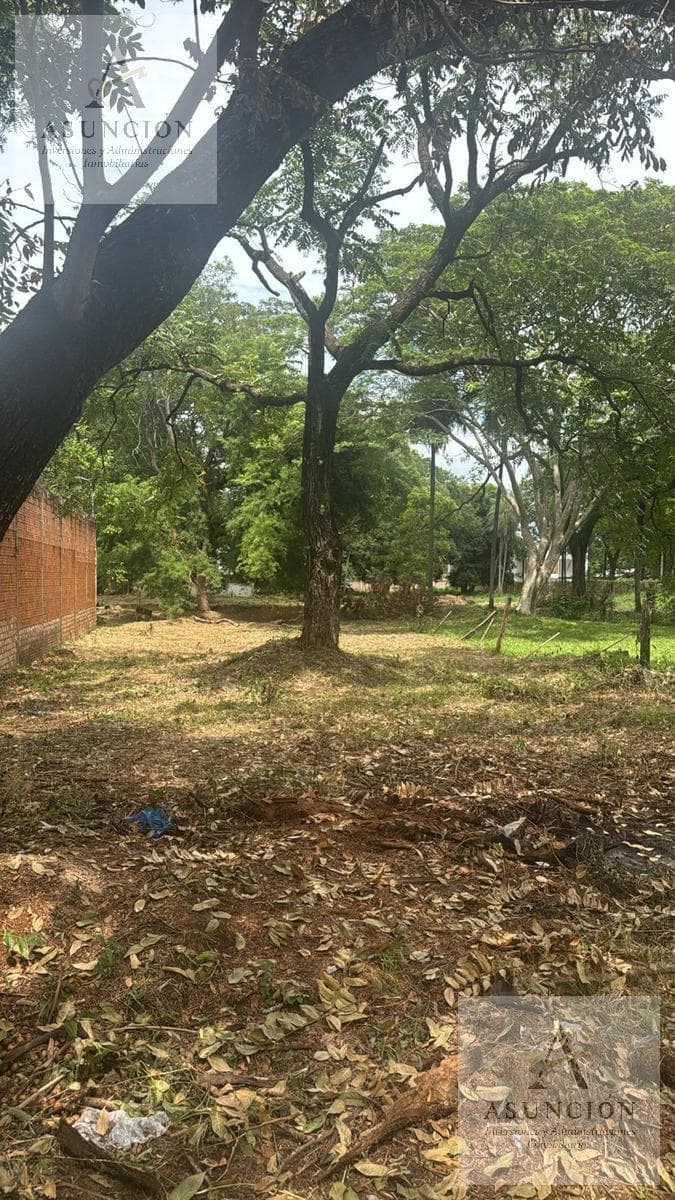 Amplio Terreno en Esquina - Zona Colegio - Lambaré