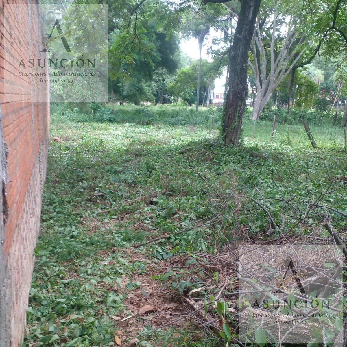 Amplio Terreno en Esquina - Zona Colegio - Lambaré — foto 2