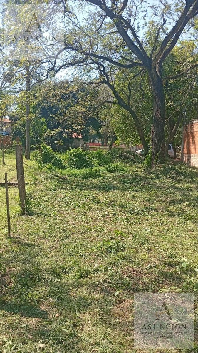 Amplio Terreno en Esquina - Zona Colegio - Lambaré — foto 3