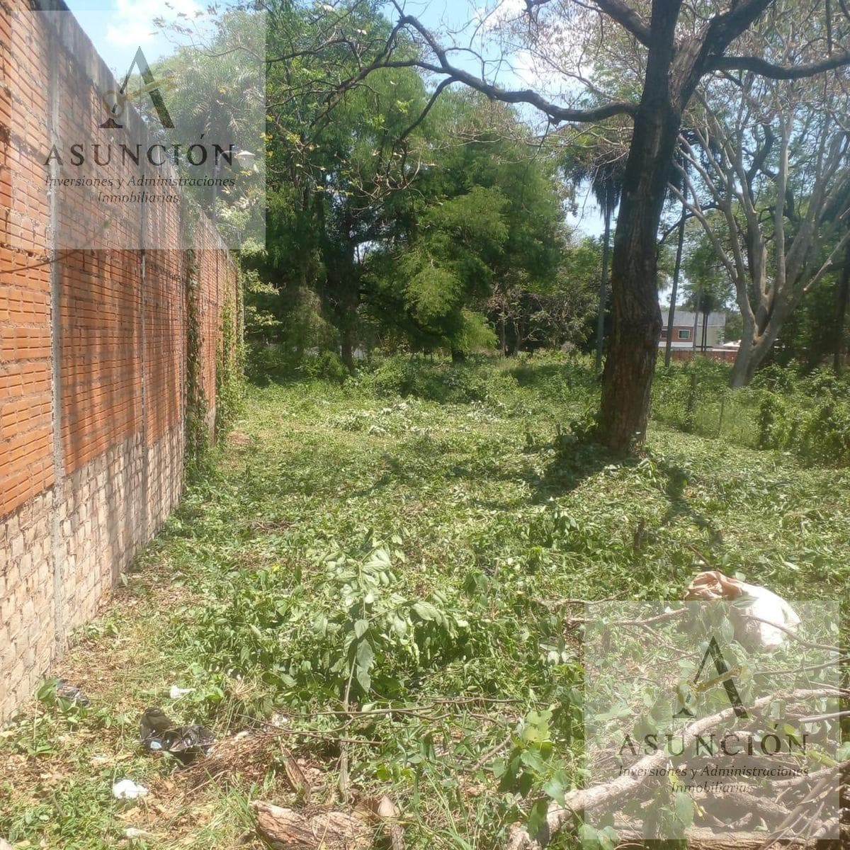 Amplio Terreno en Esquina - Zona Colegio - Lambaré — foto 4