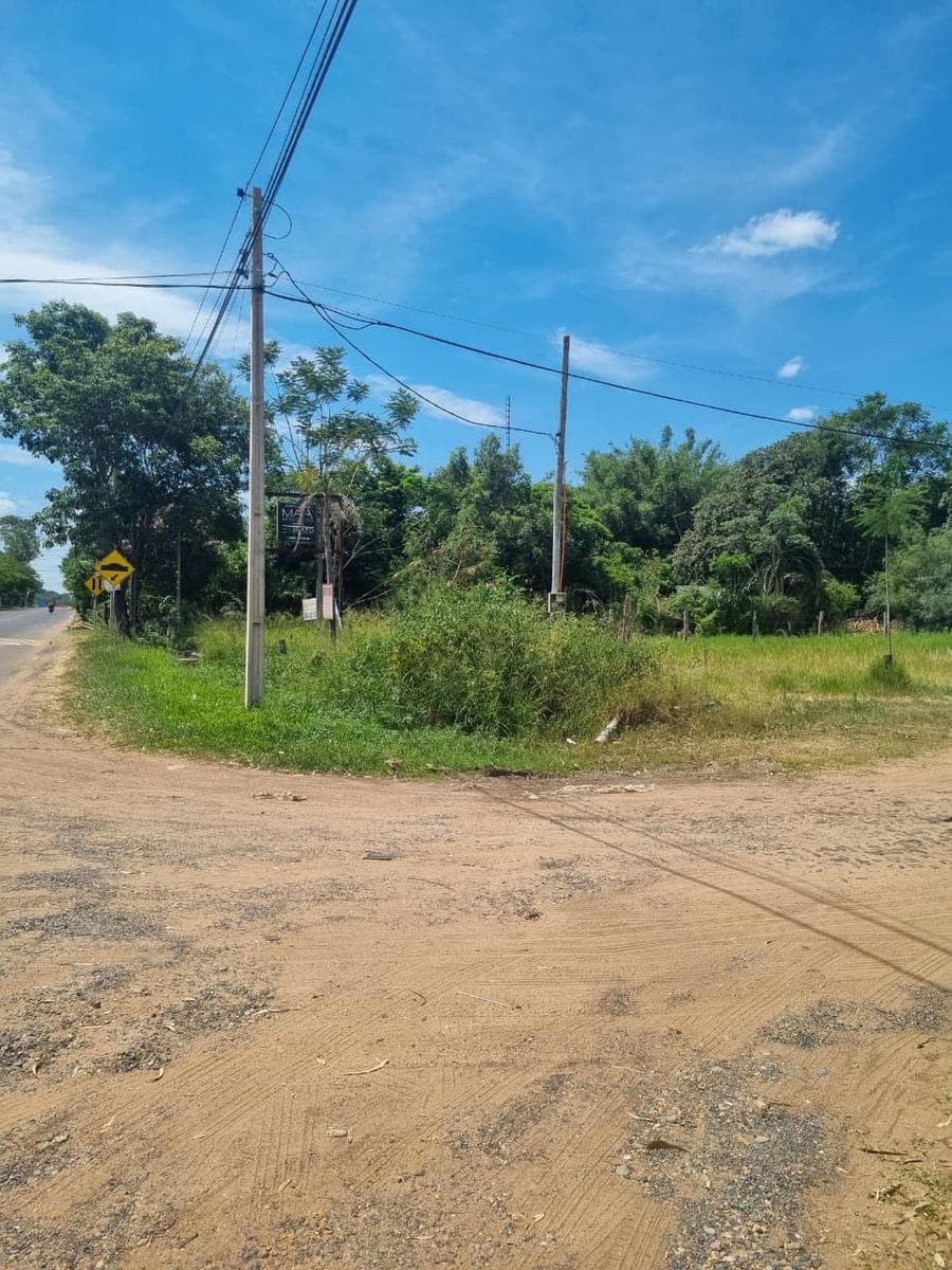terreno sobre Av. Guillermo Neumann, San Bernardino — foto 4