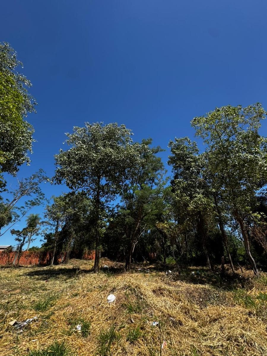 Terreno en venta 360 m2 en Mariano Roque Alonso
