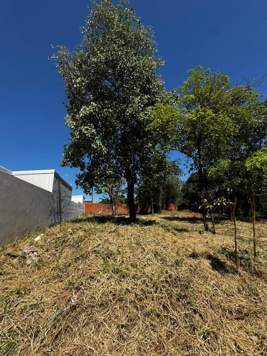 Terreno en venta 360 m2 en Mariano Roque Alonso, foto 2