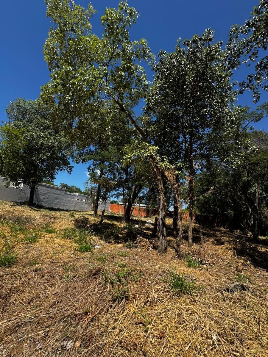 Terreno en venta 360 m2 en Mariano Roque Alonso, foto 3