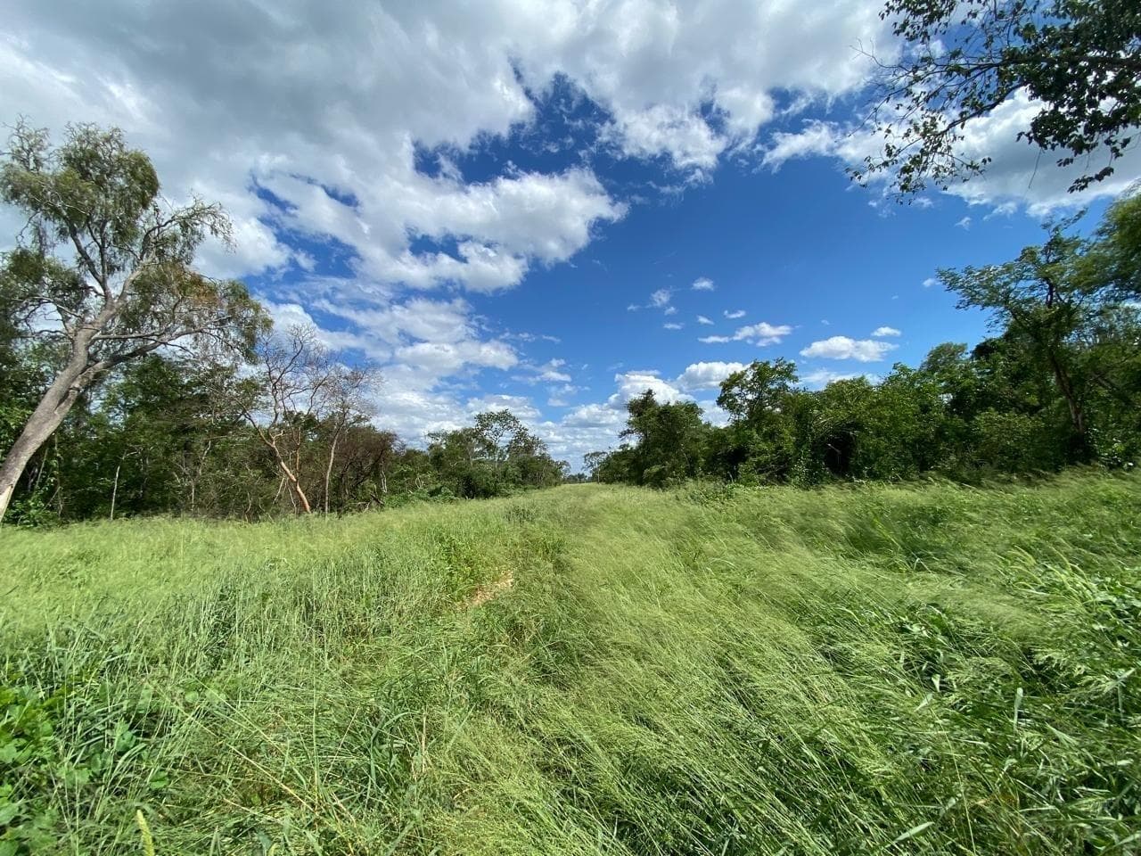 Estancia en venta de 4065 has en Alto Paraguay, foto 1