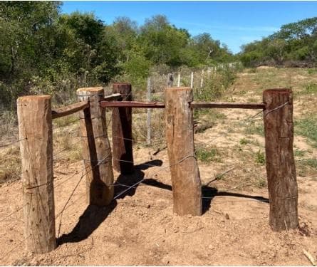 Estancia en venta de 4065 has en Alto Paraguay, foto 3