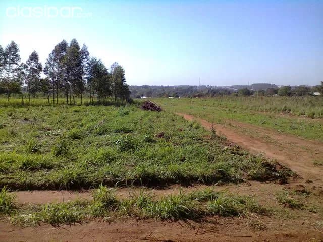 terrenos en zona residencial en DR. JUAN EULOGIO ESTIGARRIBIA, foto 3
