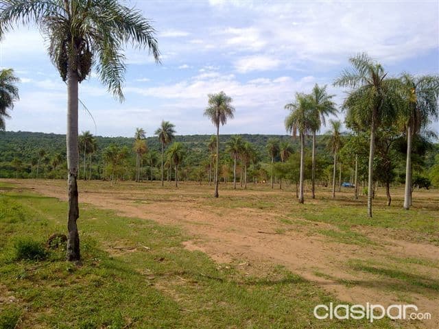 Altos sobre ruta a loma grande, foto 1