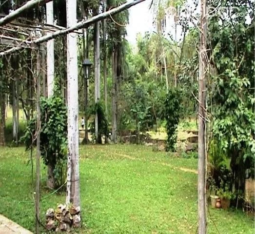Hermosa propiedad de 3 has. en el distrito de YPACARAI. km47, foto 5
