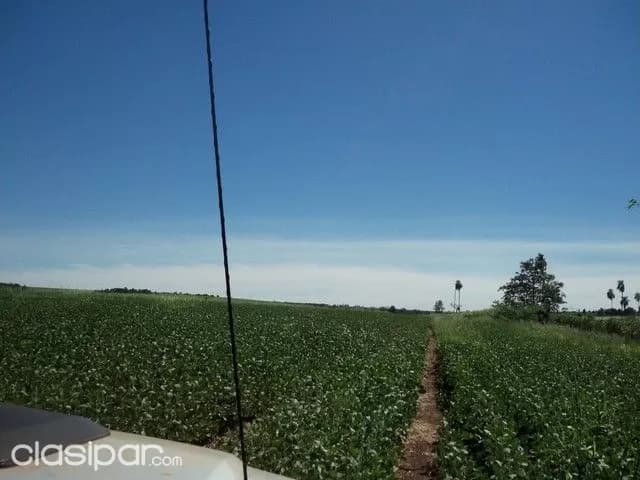 Alto parana terreno de 70 has entre santa rita y cruse km 30 — foto 2