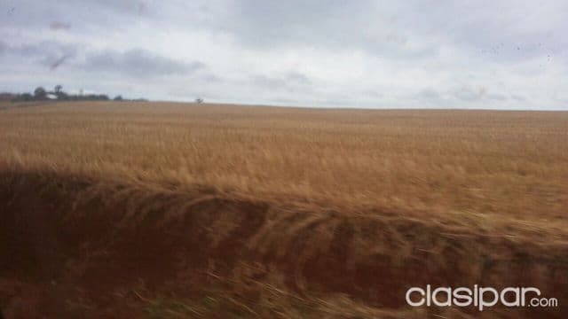 330ha Mecanizadas zona Pirapey!!!