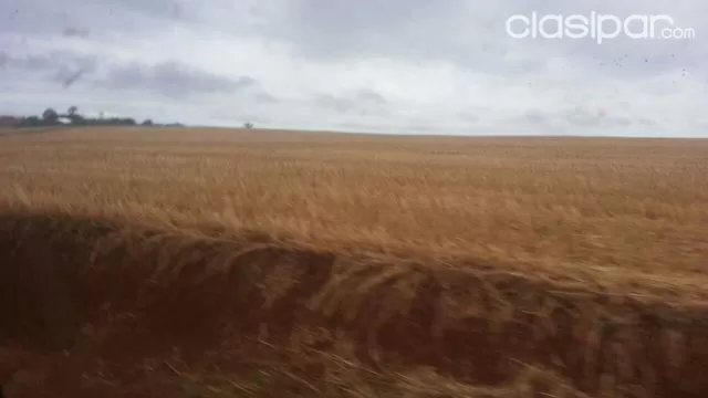 330ha Mecanizadas zona Pirapey!!! — foto 2