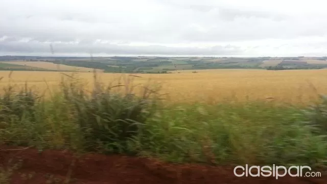 330ha Mecanizadas zona Pirapey!!! — foto 3