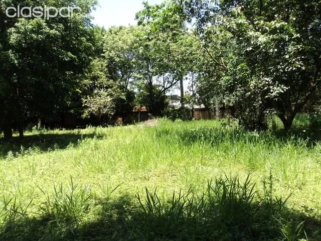 A dos cuadras y media de la ruta Luque-San Lorenzo, con casita!!!, foto 2