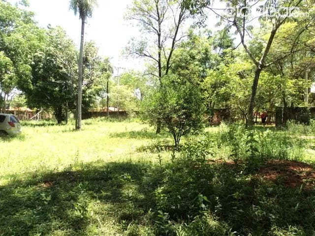 A dos cuadras y media de la ruta Luque-San Lorenzo, con casita!!!, foto 5