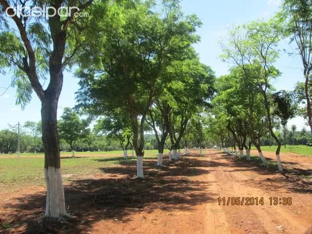 Terreno en Itaugua Km 25 a cuotas para vivir ya o para tu Quinta — foto 3