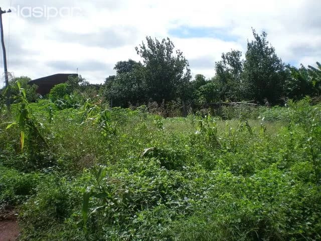 Hermoso terreno en hohenau - recibo vehiculo a cuenta — foto 3