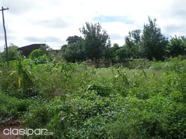 Hermoso terreno en hohenau - recibo vehiculo a cuenta — foto 5