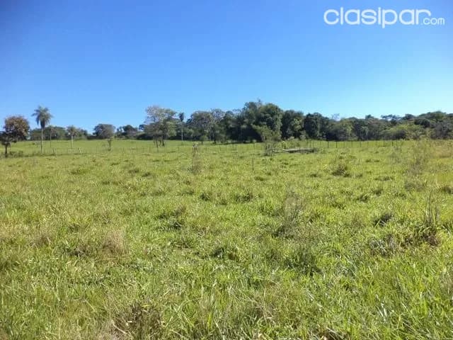 65 has granja formada, zona isla pucú departamento cordillera, foto 2