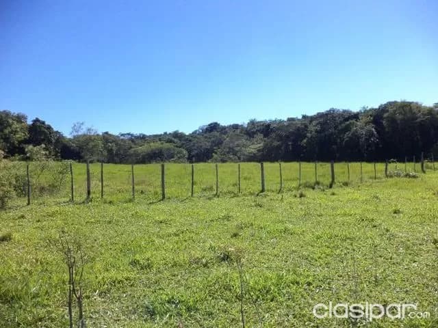 65 has granja formada, zona isla pucú departamento cordillera, foto 3