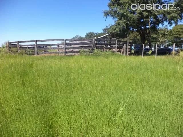 65 has granja formada, zona isla pucú departamento cordillera, foto 5