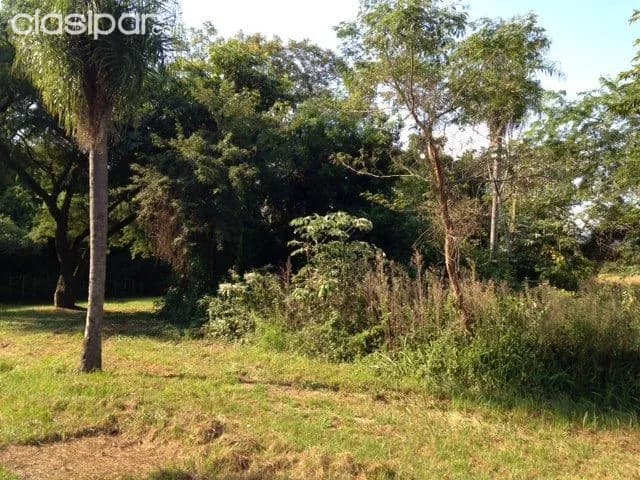 YPACARAI 3 Terrenos de 1.100 m2, foto 4