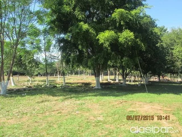 Terreno en Emboscada — foto 5