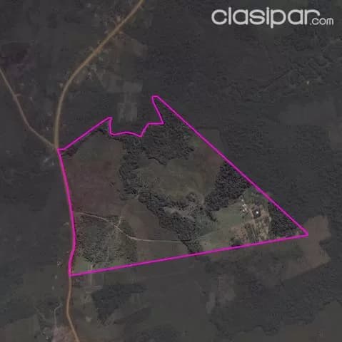 propiedad de 48 Has, Curuguaty - A 4km del pueblo — foto 3