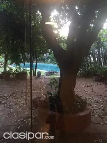 para oficinas o Restaurante zona Mcal López y Rca. Argentina!!! — foto 4