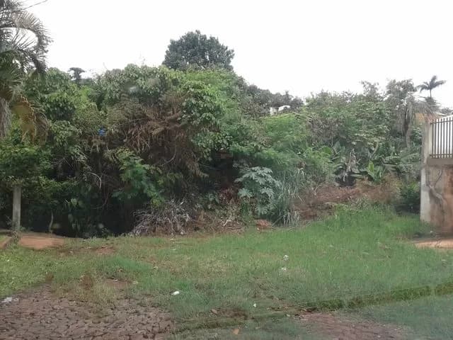 1200M2Vendo Dos Hermosos Terrenos En B Pablo Rojas A Precio Regalado Ref Luch — foto 3