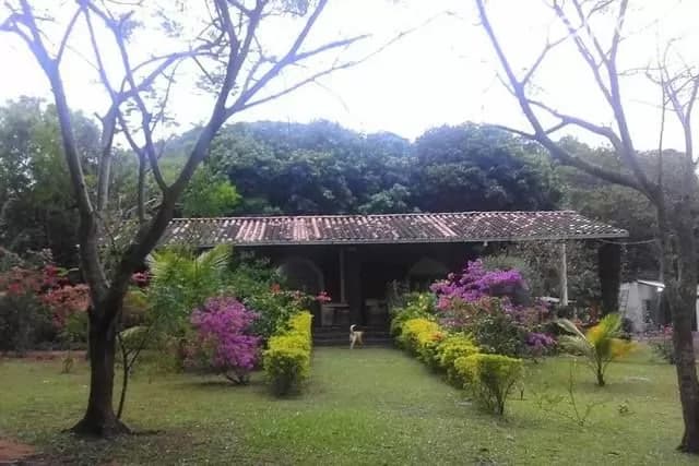 Quinta de 2 hectáreas, caacupe-tobati, cordillera!!!, foto 4
