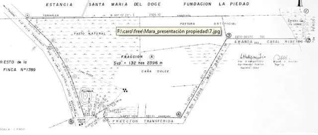 Terreno pte hayes para estancia 3442 hectareas — foto 3