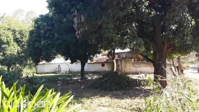 Zona colegio sek, foto 3