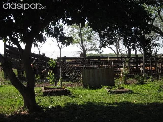 Estancia de 458 Hectáreas, en Yaguaron, foto 4