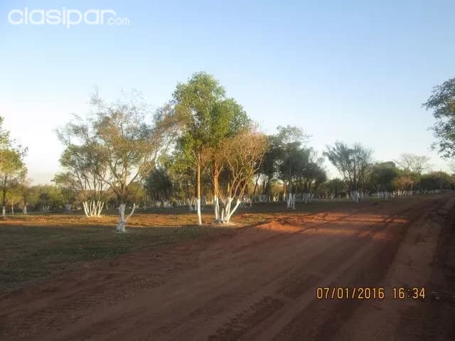 Terreno en Aregua Patiño Itaugua con vistas al lago — foto 3