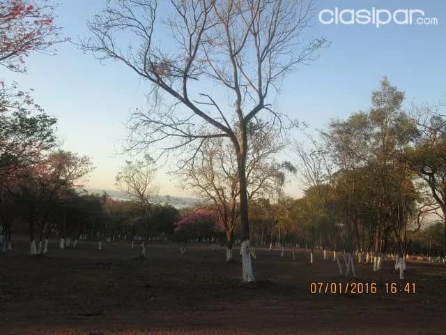 Terreno en Aregua Patiño Itaugua con vistas al lago — foto 5