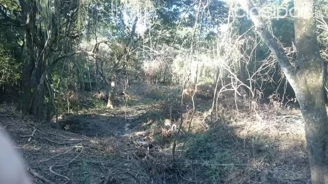 terreno en Samber buena ubicacion!!!! COD: CL 466 — foto 3