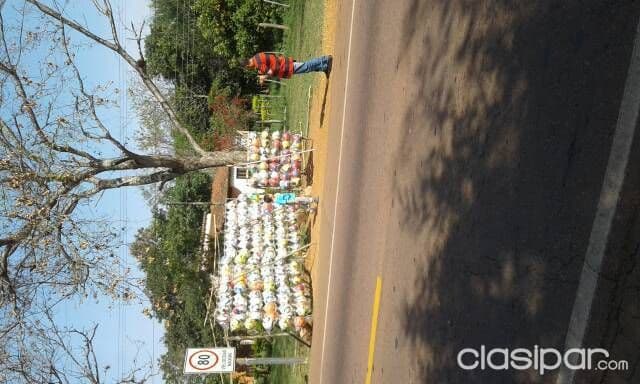 Pelotas J.V.C.Quiindy — foto 4