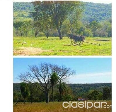 Cordillera - altos / San Bernardino : Vendo hermoso campo - 98 has - 50.000.000 gs / ha, foto 1