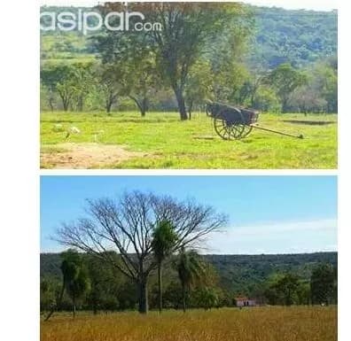 Cordillera - altos / San Bernardino : Vendo hermoso campo - 98 has - 50.000.000 gs / ha, foto 2