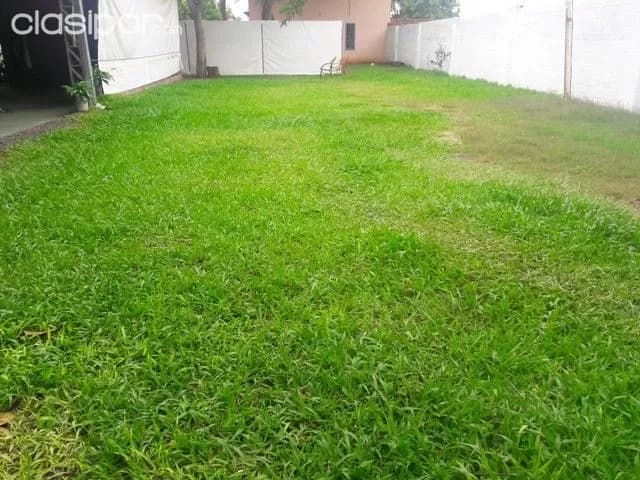 Tinglado con vivienda en Fernando de la Mora zona sur, bo. Pitiantuta!!!, foto 3