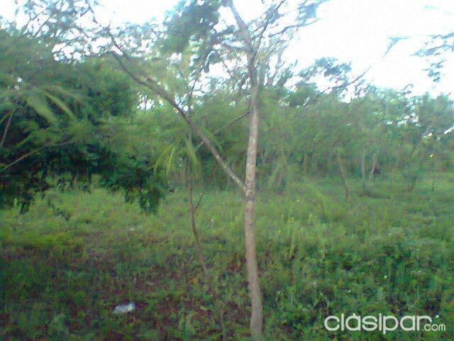 Ita a 100 metros de la ruta 1 antes del peaje nuevo — foto principal